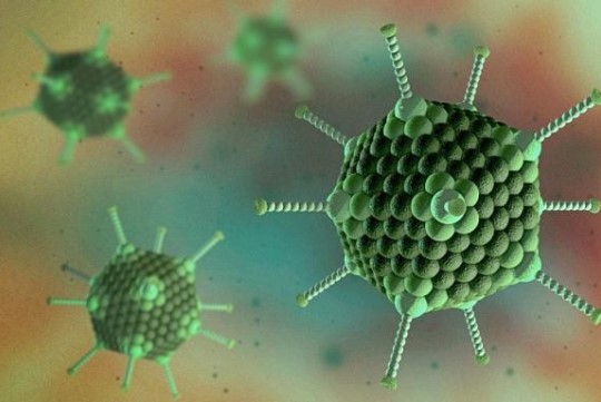Sự tồn tại đáng kinh ngạc của vi rút Adenovirus