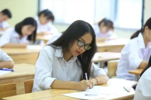 Ngành nào phù hợp với người hướng nội?