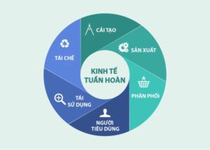 ngành kinh tế tuần hoàn