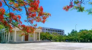 trường đại học bách khoa đà nẵng