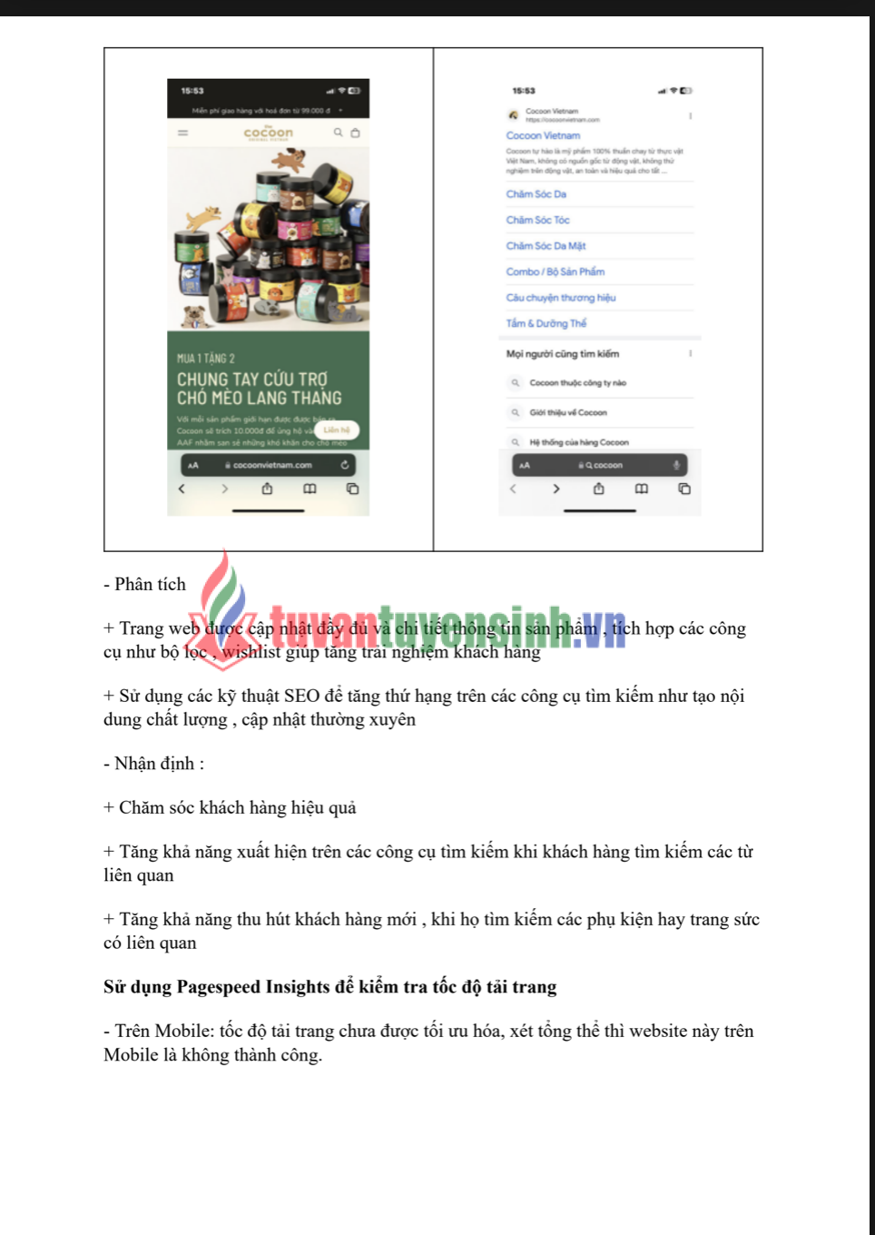 ASM MOBILE MARKETING - CĐ FPT - XÂY DỰNG TRIỂN KHAI MOBILE MARKETING CHO THƯƠNG HIỆU MỸ PHẨM SUNFLOWER 1