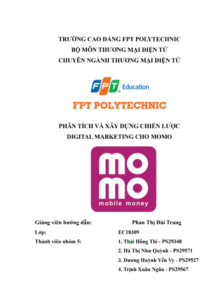 ASM PHÂN TÍCH VÀ XÂY DỰNG CHIẾN LƯỢC Digital Marketing CHO MOMO - CD FPT