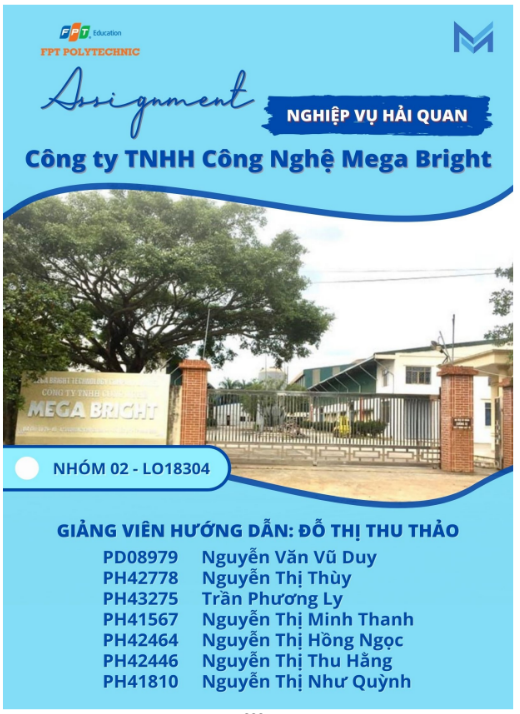 ASSIGNMENT NGHIỆP VỤ HẢI QUAN Công ty TNHH Công Nghệ Mega Bright - CD FPT