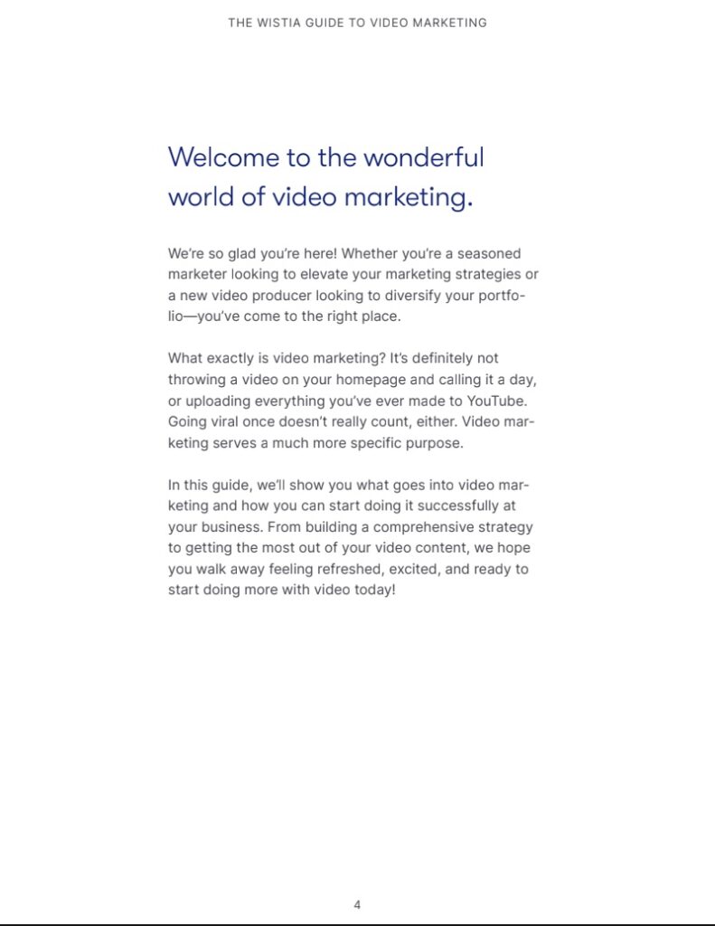 VIDEO MARKETING GUIDE - COMPLETE STRATEGY, SEO & SUCCESS CASE STUDIES Trang 3