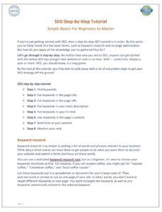 SEO Step-by-Step Tutorial – Hướng dẫn SEO cơ bản từng bước cho người mới bắt đầu trang 1