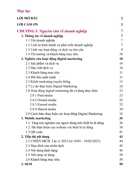 Mục lục (1) ASM PHÂN TÍCH VÀ XÂY DỰNG CHIẾN LƯỢC Digital Marketing CHO MOMO - CD FPT