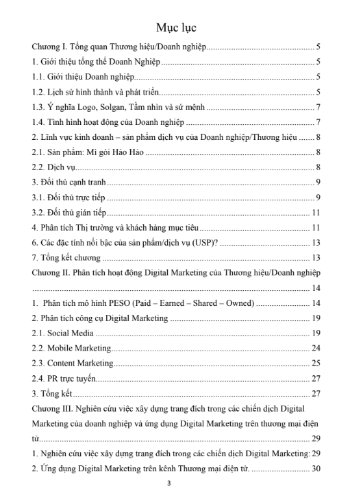 Mục lục (1) ASM PHÂN TÍCH VỀ DIGITAL MARKETING CỦA DOANH NGHIỆP ACECOOK - CD FPT