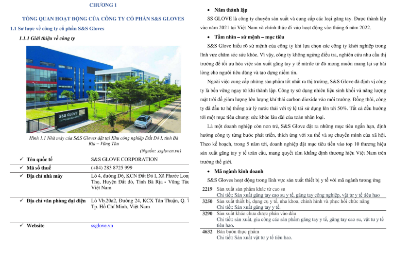 Nội dung - ASSIGNMENT NGHIỆP VỤ HẢI QUAN - Cao đẳng Thực hành FPT