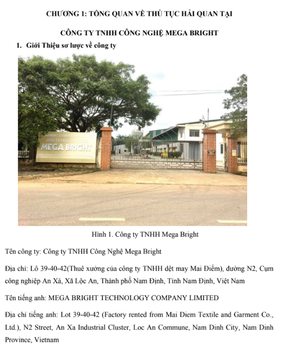 Nội dung (trang 1) ASSIGNMENT NGHIỆP VỤ HẢI QUAN Công ty TNHH Công Nghệ Mega Bright - CD FPT