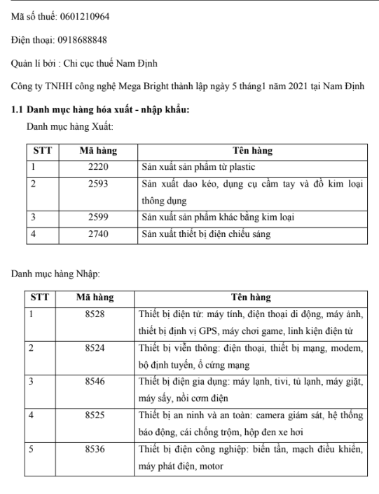 Nội dung (trang 2) ASSIGNMENT NGHIỆP VỤ HẢI QUAN Công ty TNHH Công Nghệ Mega Bright - CD FPT