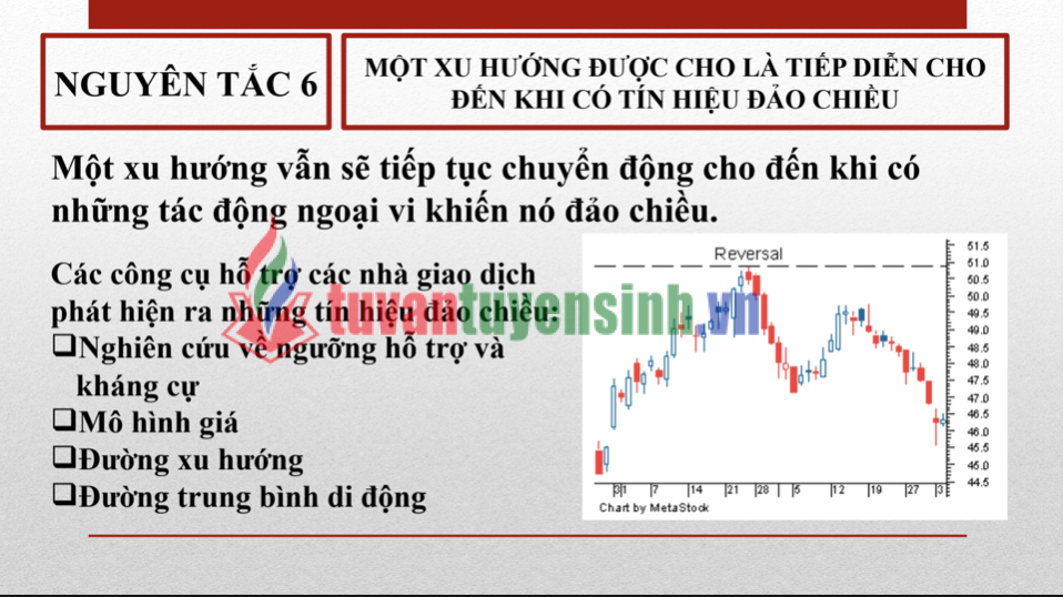PHÂN TÍCH KỸ THUẬT - LÝ THUYẾT DOW, LÝ THUYẾT SÓNG ELLIOT PDF 2