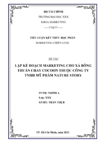 TIỂU LUẬN LẬP CHIẾN LƯỢC MARKETING KẾ HOẠCH - TRƯỜNG ĐẠI HỌC TÀI CHÍNH Trang 1