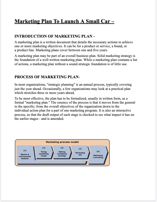 Marketing Management Term Paper PDF – Marketing Plan to Launch a Small Car
