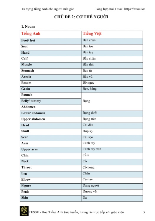 Sách 2000 Từ Vựng Tiếng Anh PDF – Dành Cho Người Mất Gốc
