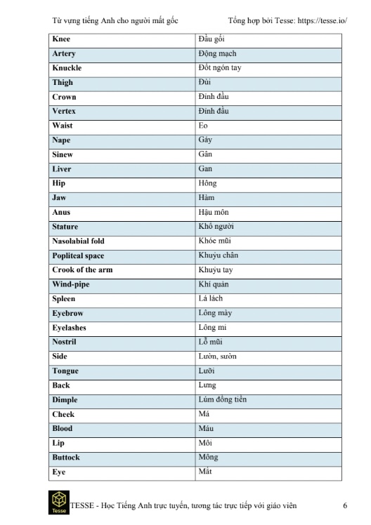 Sách 2000 Từ Vựng Tiếng Anh PDF – Dành Cho Người Mất Gốc