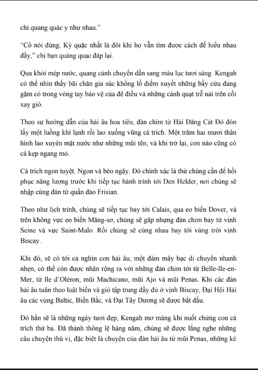 Chuyện Con Mèo Dạy Hải Âu Bay – Câu Chuyện Về Tình Bạn Và Lòng Dũng Cảm