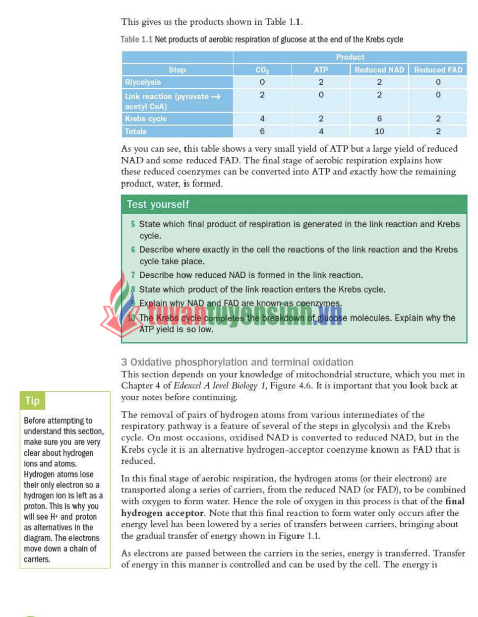 Sách Edexcel A Level Biology 2 PDF Miễn Phí – Tài Liệu Học Sinh Viên ...