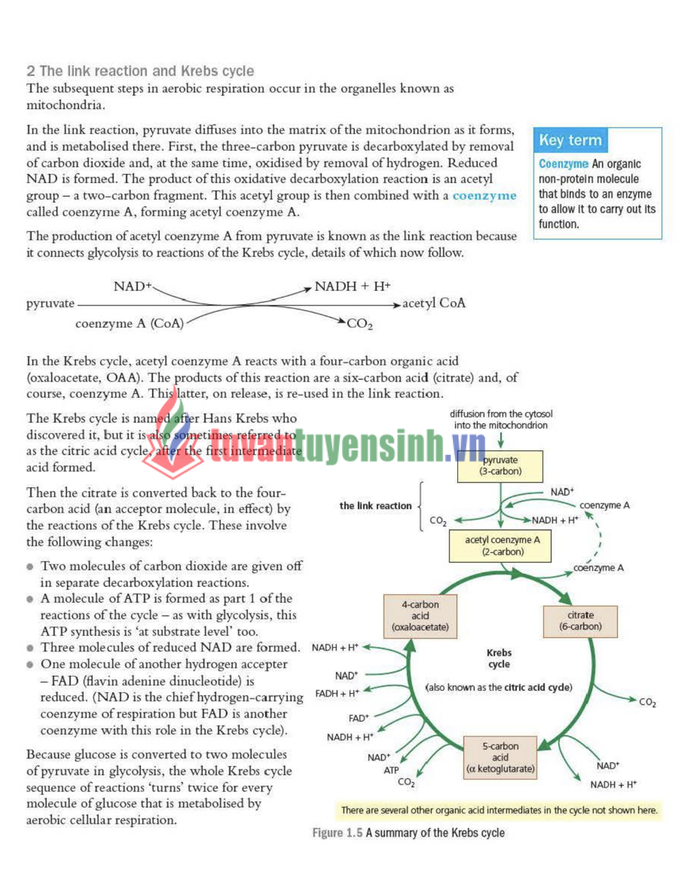 Sách Edexcel A Level Biology 2 PDF Miễn Phí – Tài Liệu Học Sinh Viên Quốc Tế 16 Sách Edexcel A Level Biology 2 PDF Miễn Phí – Tài Liệu Học Sinh Viên Quốc Tế 2