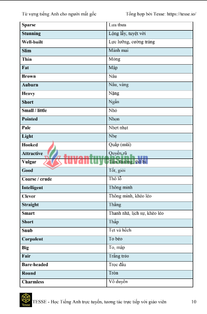 Tải FREE sách 2000 từ vựng tiếng anh dành cho người mất gốc PDF