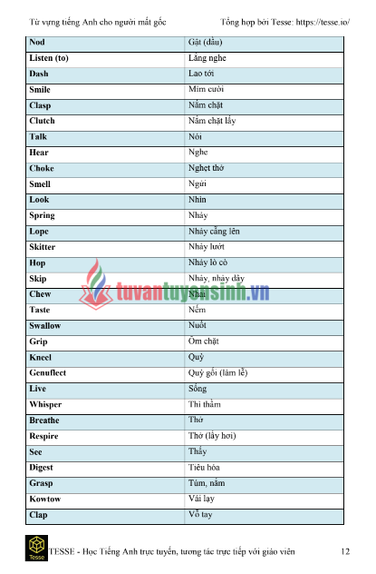 Tải FREE sách 2000 từ vựng tiếng anh dành cho người mất gốc PDF