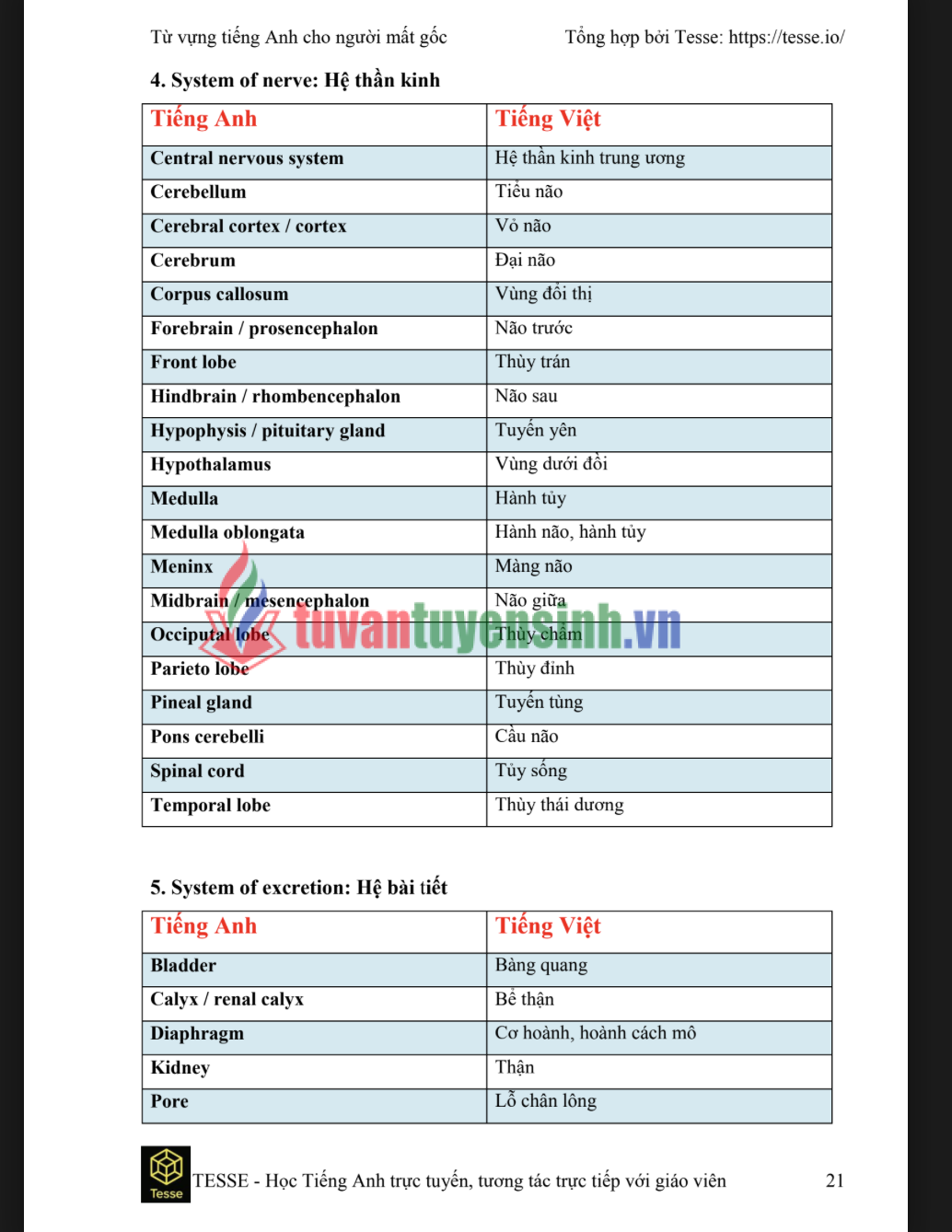 Tải FREE sách 2000 từ vựng tiếng anh dành cho người mất gốc PDF