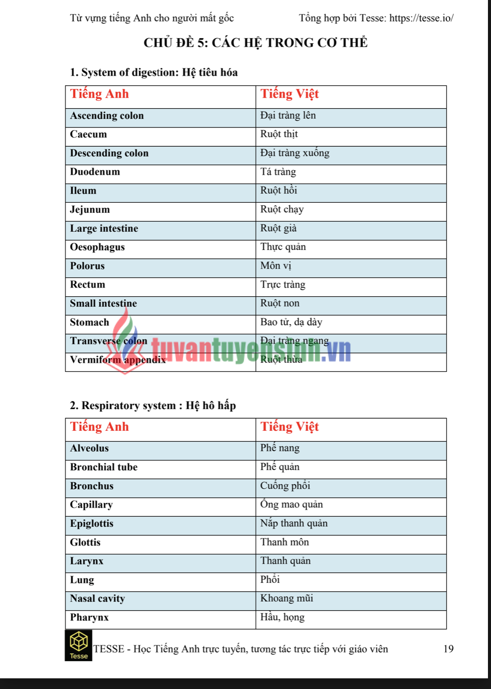 Tải FREE sách 2000 từ vựng tiếng anh dành cho người mất gốc PDF 3