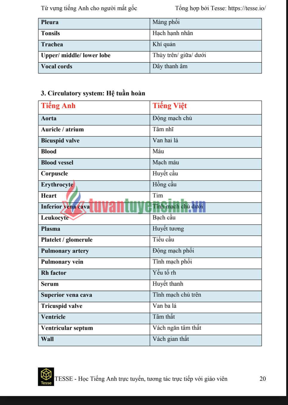 Tải FREE sách 2000 từ vựng tiếng anh dành cho người mất gốc PDF 4