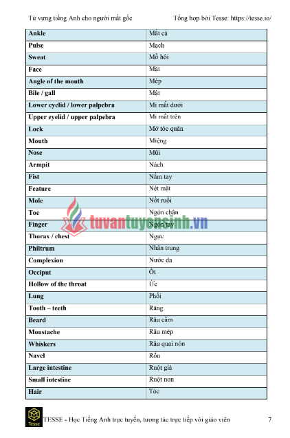 Tải FREE sách 2000 từ vựng tiếng anh dành cho người mất gốc PDF