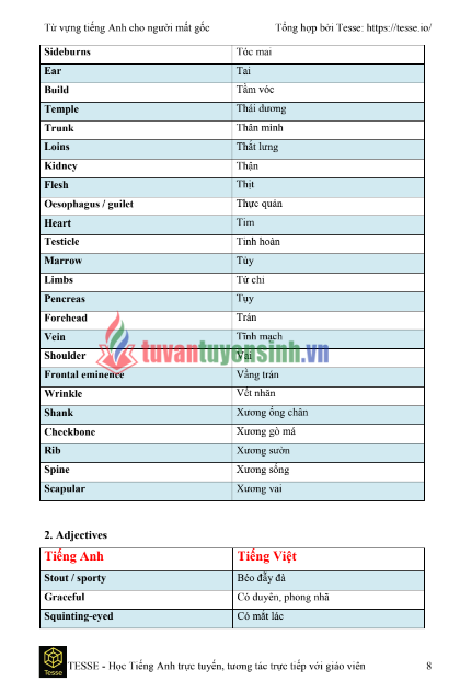 Tải FREE sách 2000 từ vựng tiếng anh dành cho người mất gốc PDF
