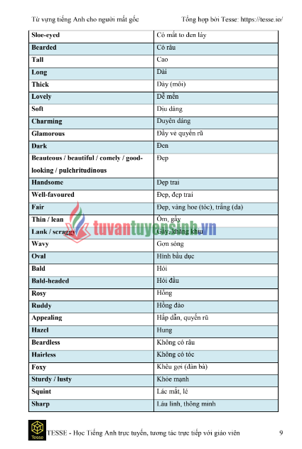 Tải FREE sách 2000 từ vựng tiếng anh dành cho người mất gốc PDF