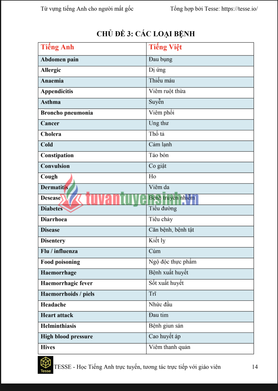 Tải FREE sách 2000 từ vựng tiếng anh dành cho người mất gốc PDF