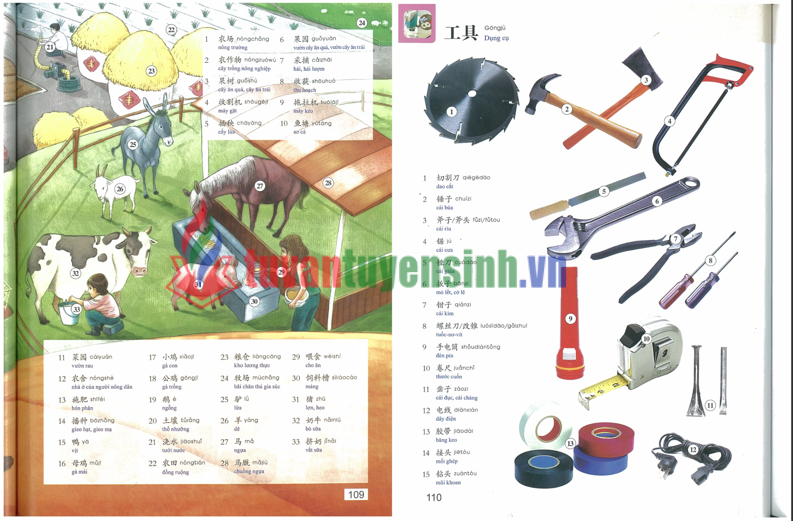 Tải Từ Điển Hán Việt bằng tranh PDF Free 2