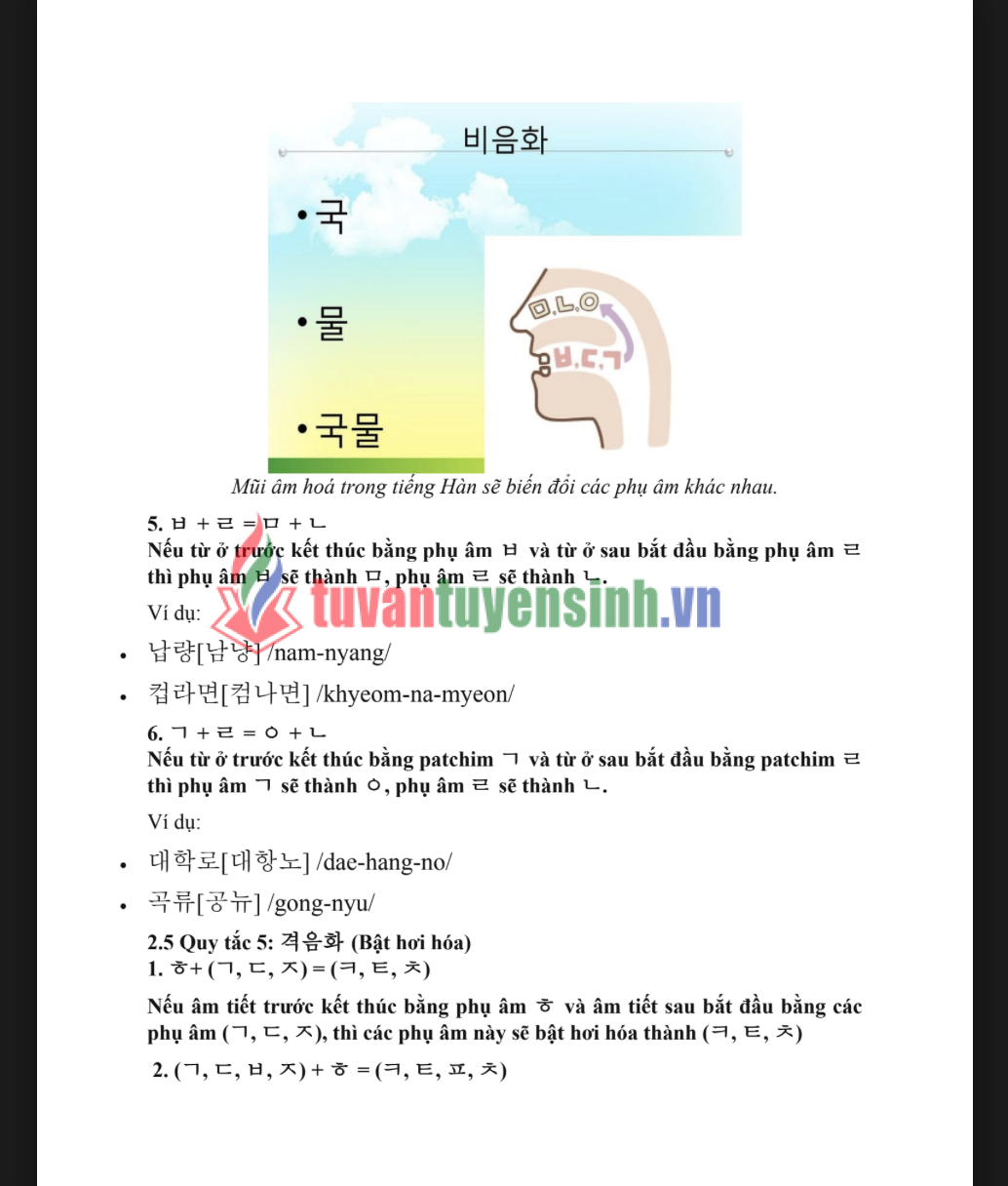 Tài liệu 9 nguyên tắc phát âm trong tiếng Hàn PDF FREE 1