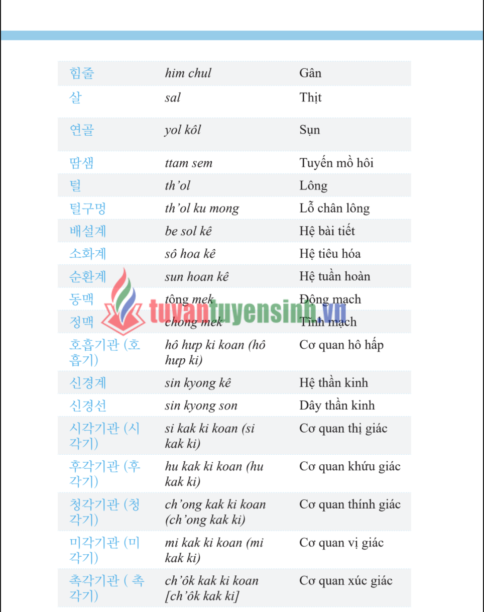 Sách 3000 từ vựng tiếng Hàn theo chủ đề PDF tải MIỄN PHÍ