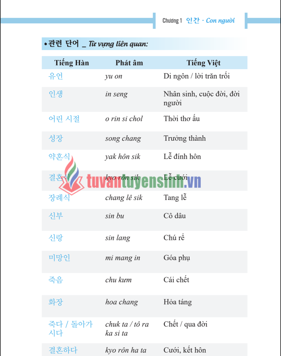 Sách 3000 từ vựng tiếng Hàn theo chủ đề PDF tải MIỄN PHÍ5