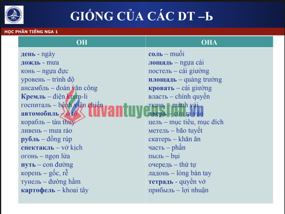 Tài liệu danh từ và đại từ tiếng Nga cho người Việt PDF tải FREE