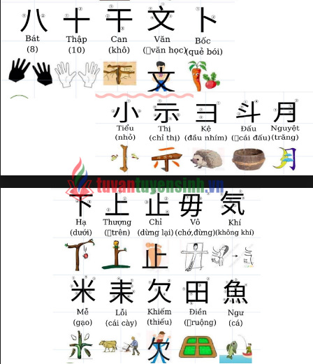 Tài liệu học 214 Bộ Thủ thường gặp tiếng Trung PDF tải FREE 20 Tài liệu học 214 Bộ Thủ thường gặp tiếng Trung PDF tải FREE