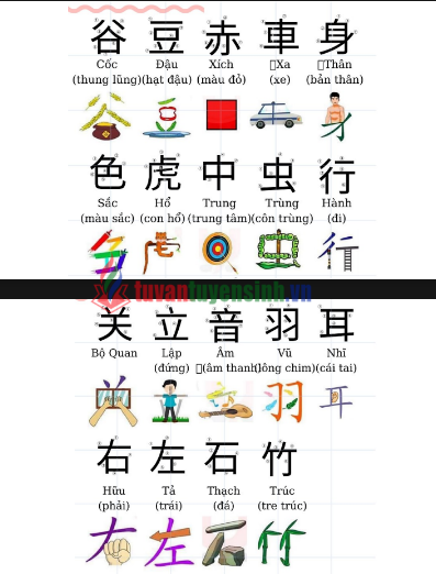 Tài liệu học 214 Bộ Thủ thường gặp tiếng Trung PDF tải FREE 16 Tài liệu học 214 Bộ Thủ thường gặp tiếng Trung PDF tải FREE