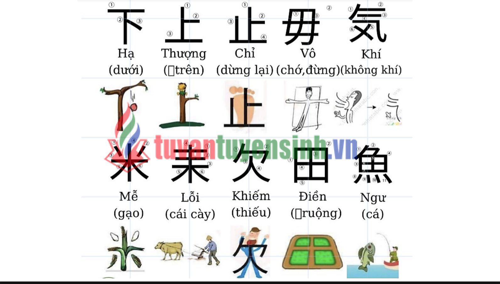 Tài liệu học 214 Bộ Thủ thường gặp tiếng Trung PDF tải FREE2