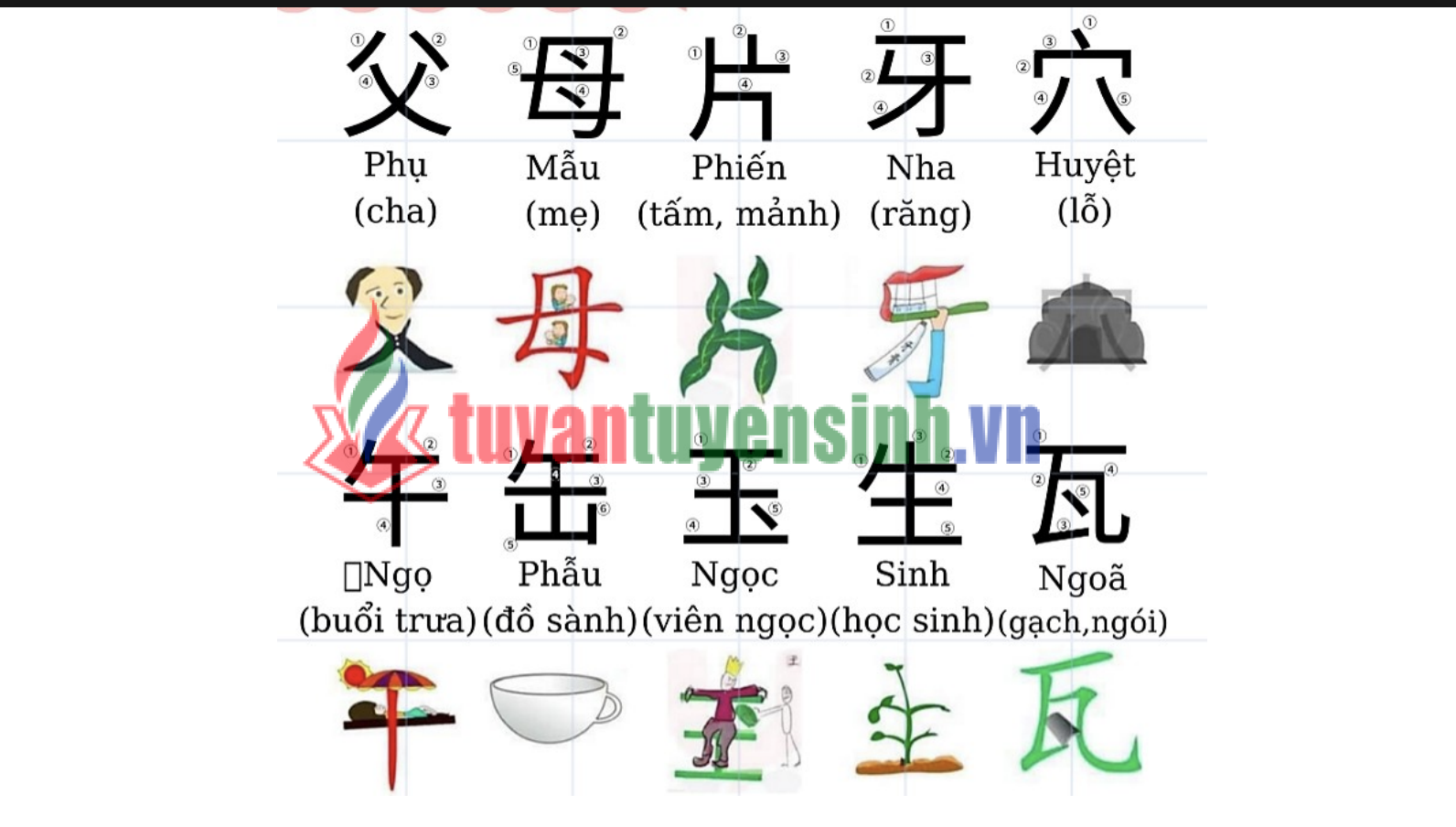 Tài liệu học 214 Bộ Thủ thường gặp tiếng Trung PDF tải FREE4