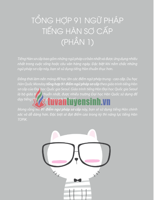 Tải FREE sách Tổng Hợp 91 Ngữ Pháp Tiếng Hàn Sơ Cấp PDF