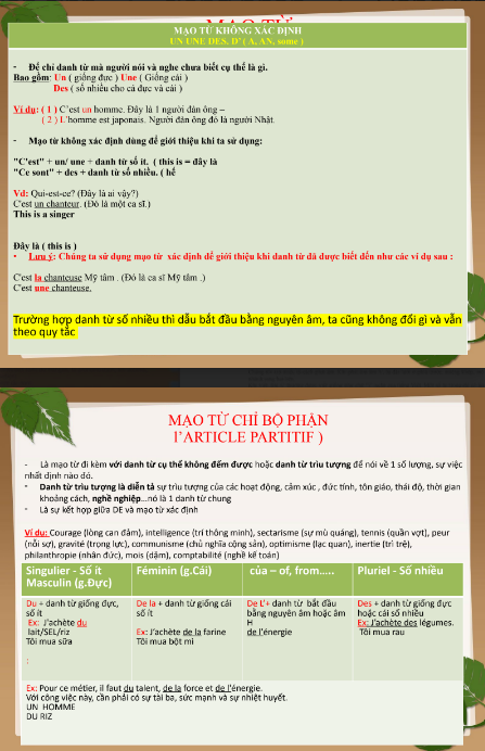 Tải FREE tài liệu PDF Mạo Từ Xác Định Và Không Xác Định Giống Đực - Giống Cái