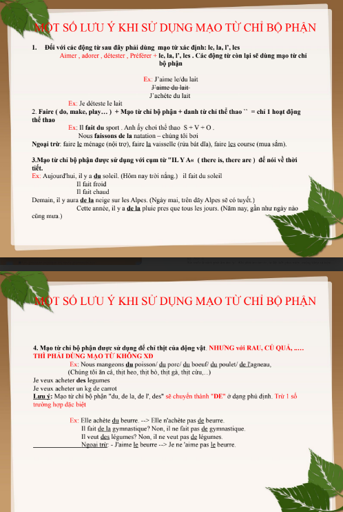 Tải FREE tài liệu PDF Mạo Từ Xác Định Và Không Xác Định Giống Đực - Giống Cái