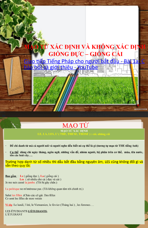 Tải FREE tài liệu PDF Mạo Từ Xác Định Và Không Xác Định Giống Đực - Giống Cái