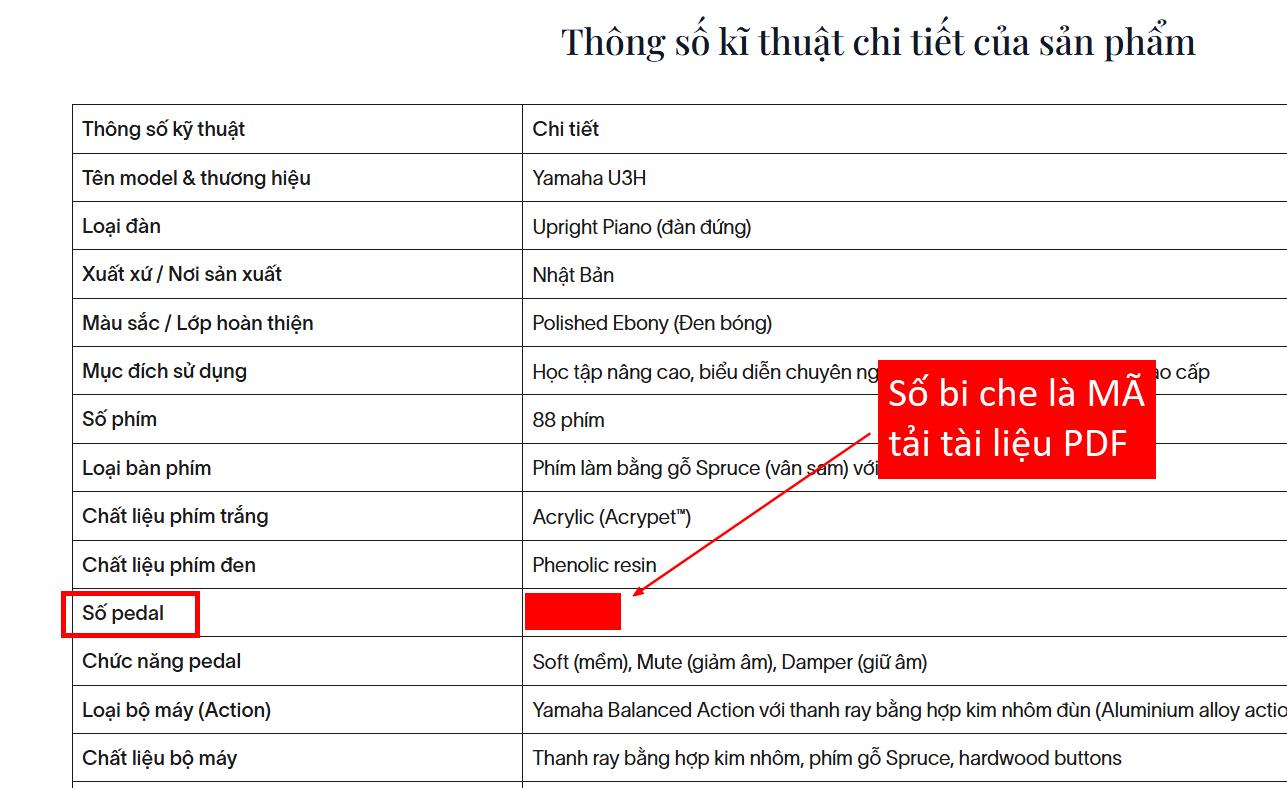 Ebook Bí quyết luyện thi IELTS cho người mới PDF tải FREE 3 5