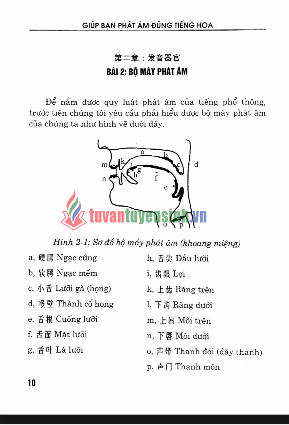 Sách Giúp Bạn Phát Âm Đúng Tiếng Hoa 5