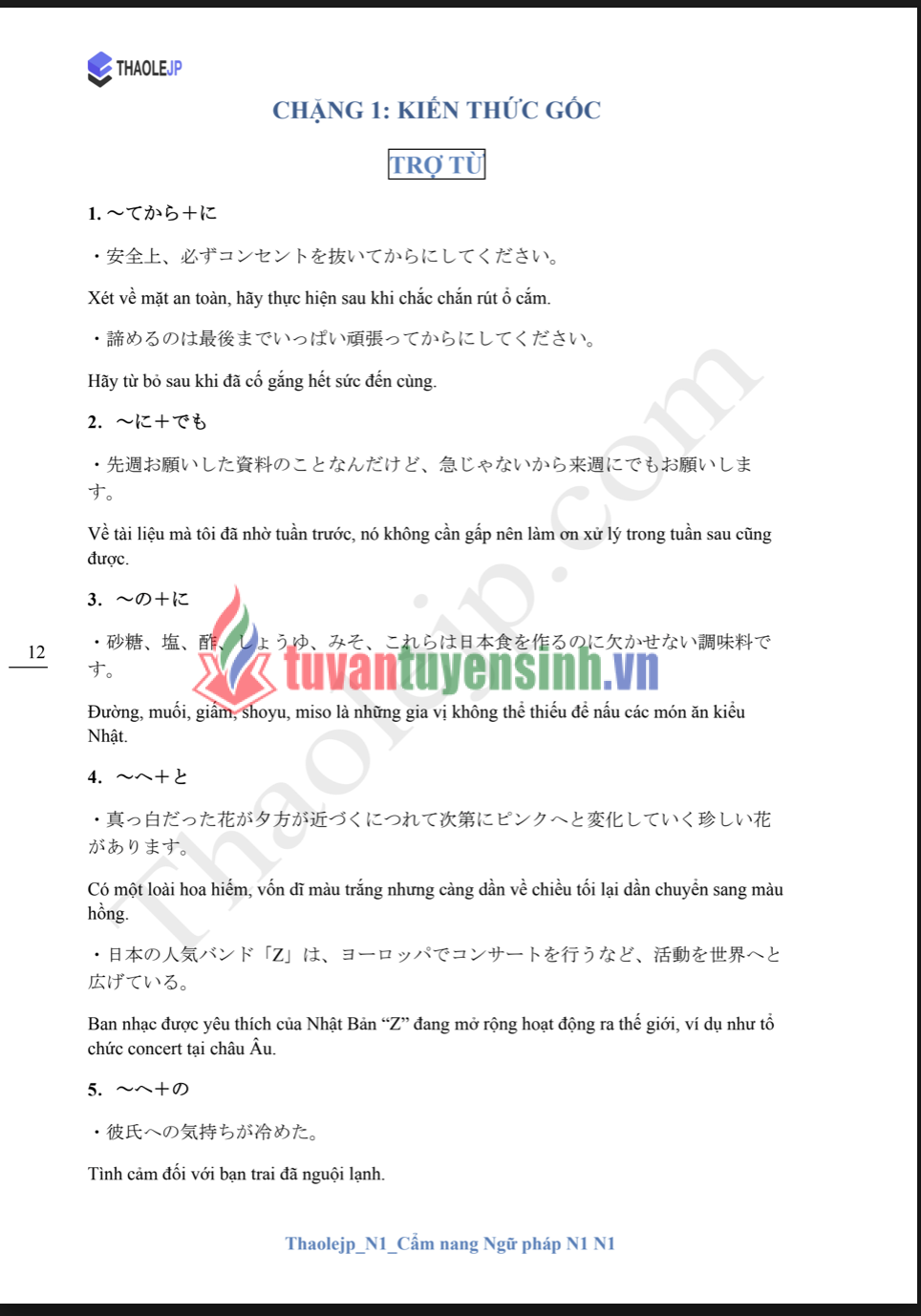 Sách Thaolejp N1 Cẩm Nang Ngữ Pháp N1 1