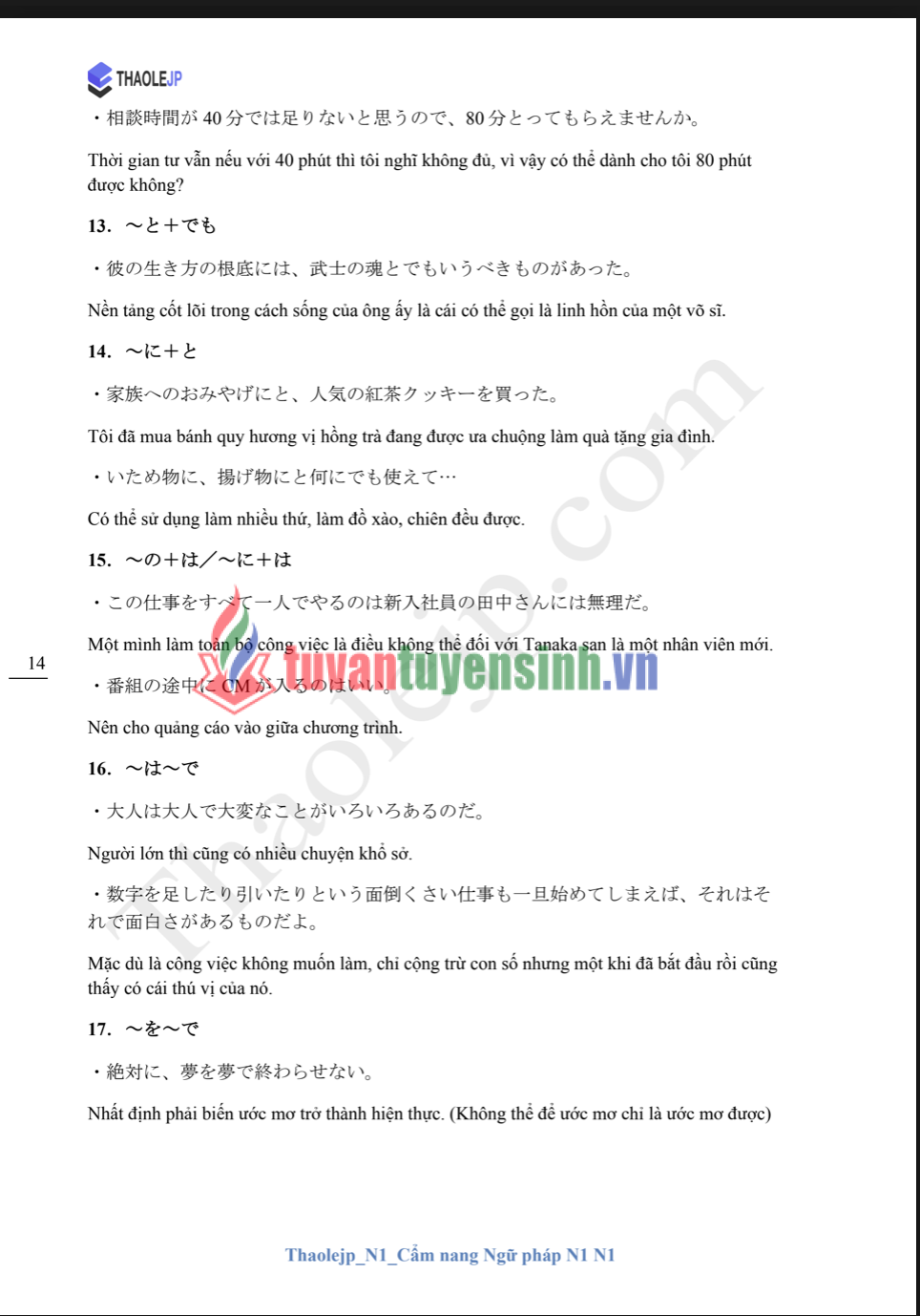 Sách Thaolejp N1 Cẩm Nang Ngữ Pháp N1 3