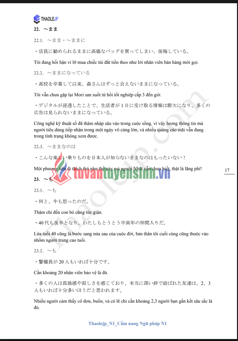 Sách Thaolejp N1 Cẩm Nang Ngữ Pháp N1 6