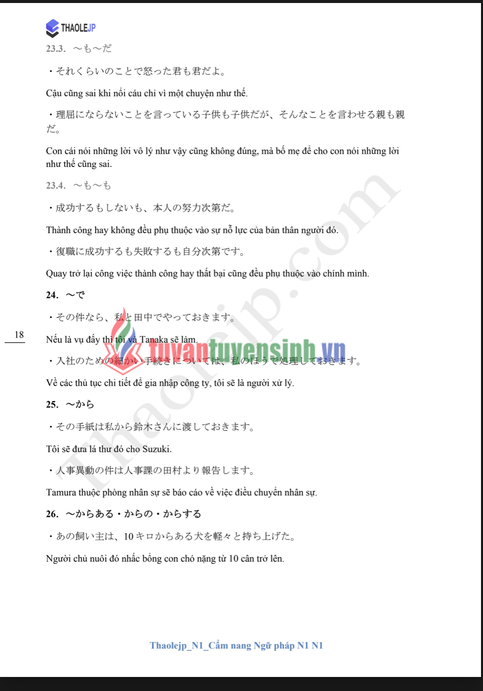 Sách Thaolejp N1 Cẩm Nang Ngữ Pháp N1 6